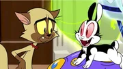 v.li.: Chester, Bunnicula
