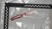 Die Kriminaltechniker finden am rechten Fuß der Leiche ein blutverschmiertes Brotmesser mit rotem Griff. Es stammt aus der Küche des Opfers. Es ist die Tatwaffe, mit der ihr nach einem Kampf die Kehle durchschnitten wurde.