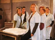 Uschi (Barbara Freier, li.), Walter (Katy Karrenbauer, 2.v.li.), Regine (Ana Fonell, 2.v.re.) und Vivi (Annette Frier, re.) sind überrascht, dass Dagmar (Kristiane Kupfer) zu Evelyn Kaltenbach gerufen wird.