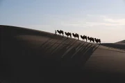 Schon in der Antike gab es globalen Handel. So wurde Siede aus dem heutigen China bis nach Europa transportiert.