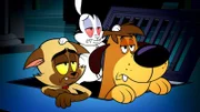 v.li.: Chester, Bunnicula, Harold