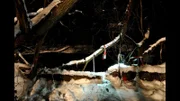Die schwangere Bianca P. wird vermisst. Angeblich soll sie nach Dänemark ausgewandert sein, aber stimmt das wirklich?