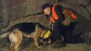 Im Keller von William Pearl schlägt ein Leichenspürhund an. Doch die Ermittler finden keine Leiche!