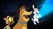 v.li.: Chester, Harold, Bunnicula