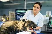 Es ist mehr als fraglich, ob Tierärztin Susanne Mertens (Elisabeth Lanz) den schwarzen Panther retten kann. Andernfalls hätte das bittere Konsequenzen für ihre junge Assistenzärztin Karoline.