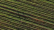 Da Wasser in vielen Regionen Afrikas knapp ist, müssen Felder oft bewässert werden, um Landwirtschaft betreiben zu können.