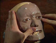 In einem Waldstück wird ein menschlicher Schädel gefunden. Eine Rekronstruktion des Gesichts soll die Identität des Menschen aufdecken. In einem Waldstück wird ein menschlicher Schädel gefunden. Eine Rekronstruktion des Gesichts soll die Identität des Menschen aufdecken.