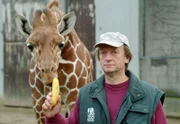 Die Giraffe Sylvester und ihr Pfleger Ferdinand Heinemann.