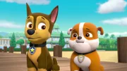 L-R: Chase, Rubble