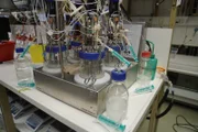 Im Bioreaktor wird die genetisch veränderte Hefe gezüchtet und mit CO2 gefüttert.