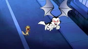 v.li.: Chester, Bunnicula