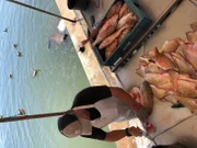 Punta del Este in Uruguay. Impressionen - Fischmarkt am kleinen Hafen von Punta del Este.