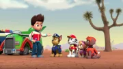 L-R: Ryder, Chase, Marshall, Skye, Zuma