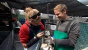 Tierpfleger Dave Nelde und Meeresbiologin Isabel Micklem mit Pinguinküken.