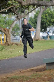 Setzt bei den Ermittlungen immer wieder sein Leben aufs Spiel: Steve (Alex O'Loughlin) ...
