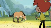 Normalerweise gelingt es Taylor zu allen Tieren schnell Vertrauen zu gewinnen, nicht so bei dem scheuen Przewalski-Pferd Darius.