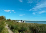 Ausritt in die Camargue.