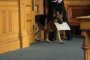 Rex