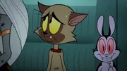 v.li.: Chester, Bunnicula