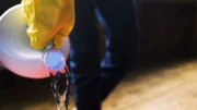 Spurenbeseitigung Die Verwendung des sendungsbezogenen Materials ist nur mit dem Hinweis und Verlinkung auf TVNOW gestattet.