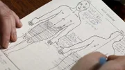 Körper-Diagramm