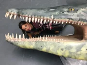 Anna könnte glatt in sein Maul passen. Der Liopleurodon wurde bis zu zwölf Meter lang.