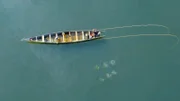 Am Volta-Fluss in Ghana tauchen Männer mit einfachen Mitteln, um Muscheln zu ernten.