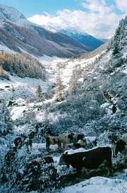 Ankunft im Ahrntal.