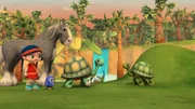 Dank der Hilfe von Pferd Herbert, Wissper und Peggy kommt die verletzte Schildköte Jambo noch rechtzeitig zum Treffen mit Schildkrötendame Jasmina.