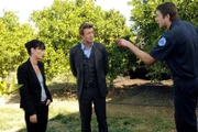Die Ermittlungen sind im vollen Gange: Teresa (Robin Tunney, l.), Patrick (Simon Baker, M.) und Todd (Josh Braaten, r.) ...