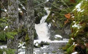 Ravennaschlucht.
