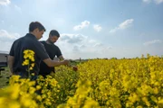 Landwirt Phillip Krainbring (r.) und ein Imker (l.) aus der Region überprüfen, wie weit der Raps in diesem Jahr schon ist.
