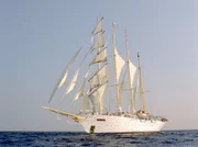 Die majestätische "Star Flyer".