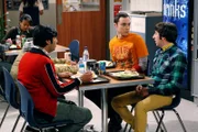 Rajs jüngere Schwester Priya macht einen Zwischenstopp in Los Angeles und Raj bringt sie mit ins Institut. Er warnt Howard und Sheldon, die Finger von ihr zu lassen ...