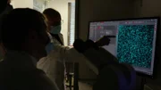 Coronaforschung in der Virologie des Klinikums Rechts der Isar.