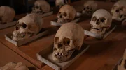 Diese deformierten Schädel stammen aus der Zeit des Niedergangs des Römischen Reiches.