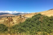 Landschaft an den Lavahängen des Ätna, die Eisenbahnlinie der Circumetnea führt rund um den Vulkan.
