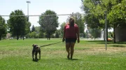 JORDAN ADOPTION: Adopter being filmed walking dog after home check.