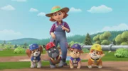 L-R: Wheeler, Charger, Farmer Zoe, Mix, Rubble