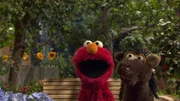 Pferd (r.) sucht noch nach einem Versteck vor Elmo (l.).