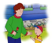 Caillou hat seinem Vater einen Streich gespielt. Die vielen neuen Blumen in seinem Beet sind leider aus Plastik.