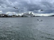 Die "Grand Lady" in Klaipeda in Litauen.