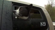 Spencer looks out through truck window.