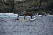 Lauren and Tom on boat searching for fin cam.