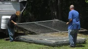 Tia & Troy being filmed lifting a kennel fence.