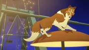 Lassie ist auf eine Gondel des sich drehenden Riesenrads gesprungen, um Penny beizustehen.