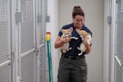 Tierpflegerin Kira Babuska trägt Fennekfüchse.