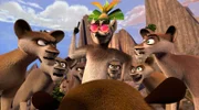 Um sein Volk zu befreien, stellt sich King Julien mutig zwischen die Fossa und muss feststellen, dass er gar nicht so untalentiert ist wie er immer dachte.