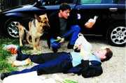 Rex hat Kommissar Böck (Heinz Weixelbraun, liegend) mal wieder einen Streich gespielt. Kommissar Brandtner (Gedeon Burkhard, hinten) amüsiert sich königlich ...