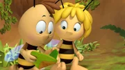 Willi und Maja finden das Notizbuch des Richters.Maja schleicht sich nachts zur Königin, um sie zu warnen.